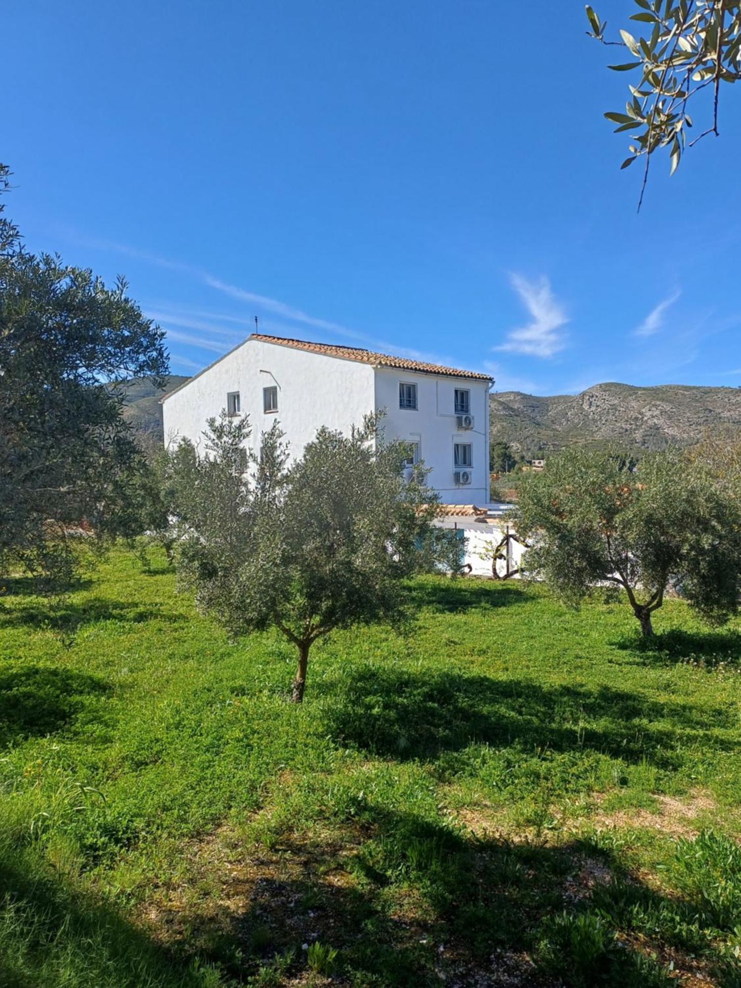 B&B Casa Vitalidad 온티니엔트 외부 사진