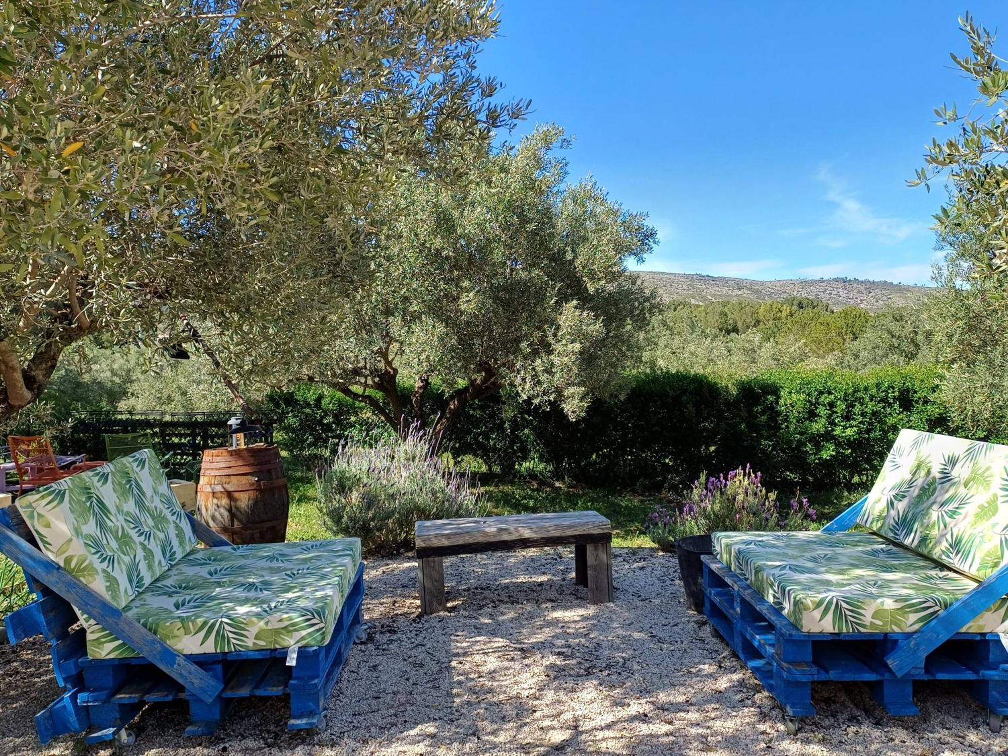 B&B Casa Vitalidad 온티니엔트 외부 사진