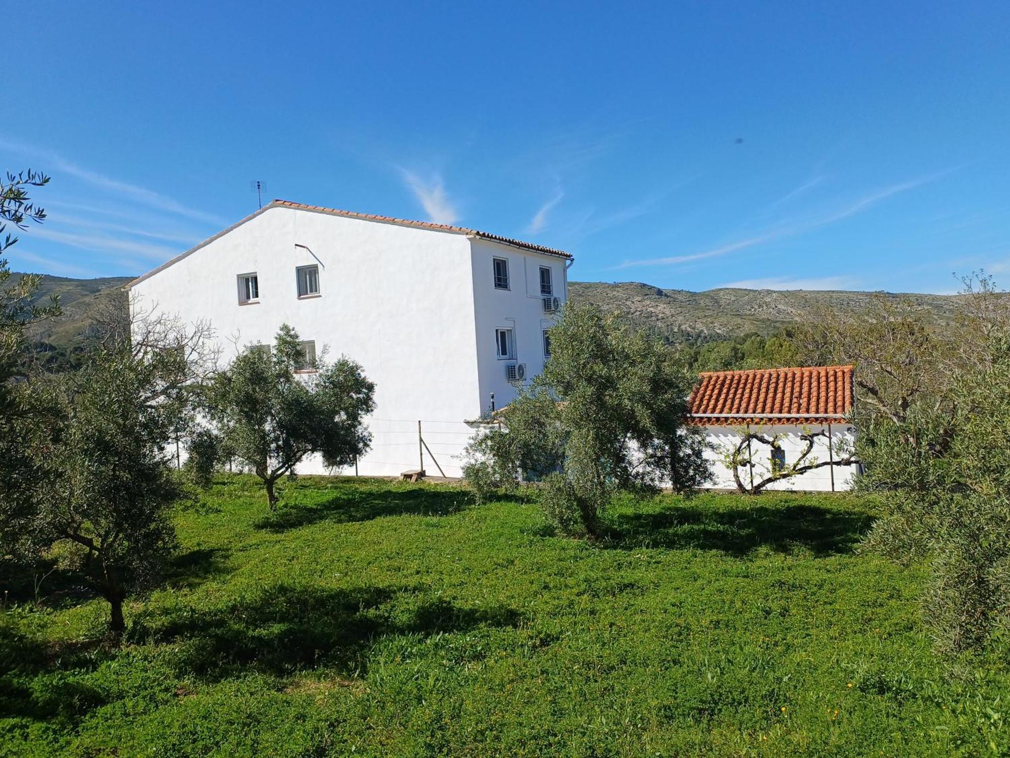 B&B Casa Vitalidad 온티니엔트 외부 사진